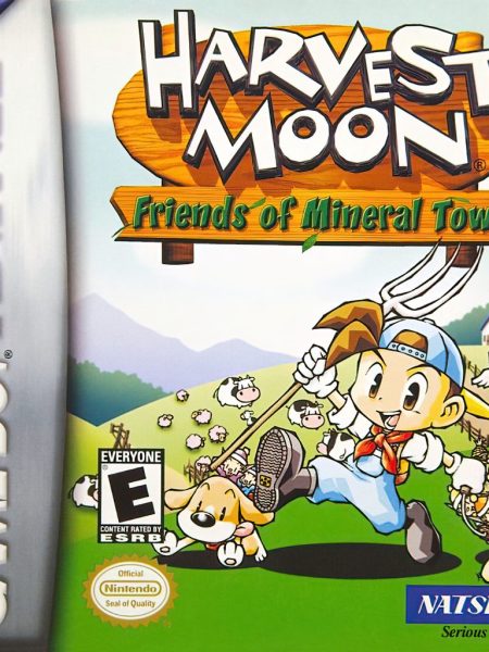 harvest moon firends of mineral town